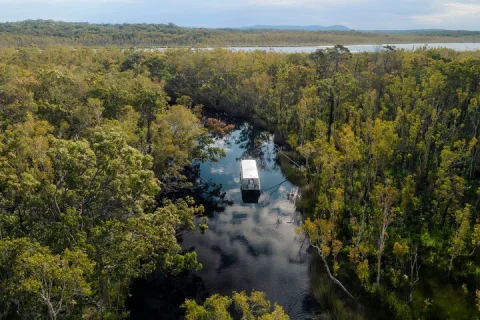 Serenity Cruise to Australia's Everglades in Sunshine Coast