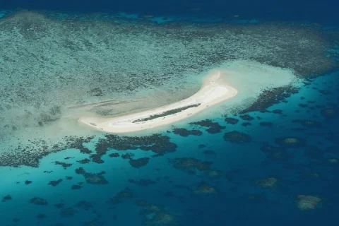 Seastar Luxury Outer Great Barrier Reef Island and Reef Tour in Cairns