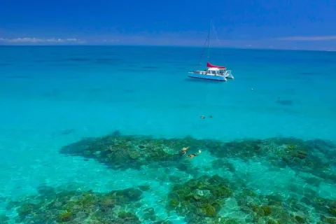 Cairns Full Day Great Barrier Reef Snorkel Tour in Cairns