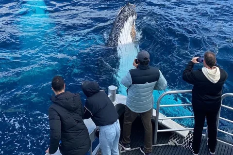 Dunsborough Whale Watching Tour in Busselton