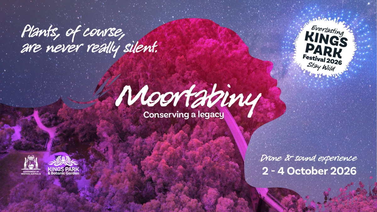 Moortabiny at Kings Park