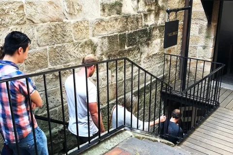 Convicts and The Rocks: Sydney's Walking Tour Led by Historian in Sydney