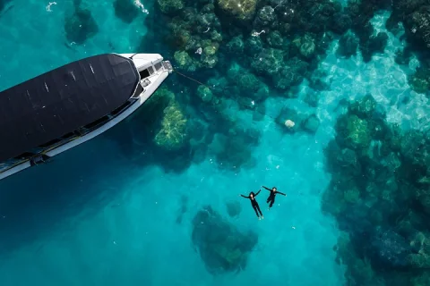 Great Barrier Reef Small Group Snorkelling Adventure in Cairns