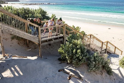 Kangaroo Island in a Day Tour from Adelaide in Adelaide