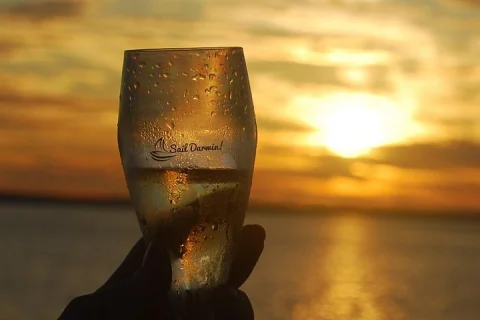 Sunset 3 Hour Cruise from Darwin with Dinner and Sparkling Wine in Darwin