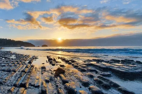 Tasman Peninsula Walking Tour in Hobart