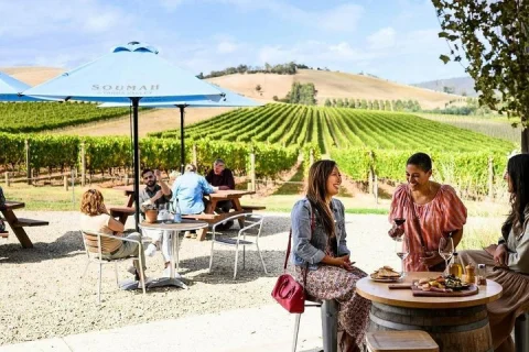 Yarra Valley Premium Wine Redwood Forest Day Tour Melbourne in Melbourne