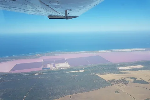 Pink Lake Hutt Lagoon Kalbarri in Perth