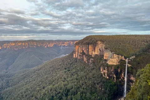 Blue Mountains Birdwatching Adventure in Erskineville