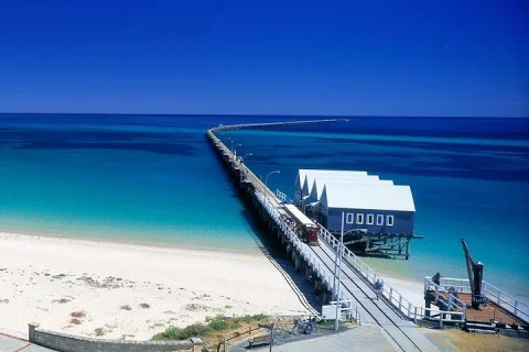 Full Day Busselton Jetty, Train Ride & Dophin Discovery in Perth
