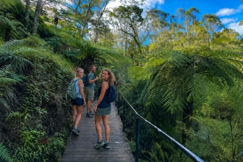 Blue Mountains 3 Scenic Walks & Ultimate Guided Tour from Sydney in Sydney
