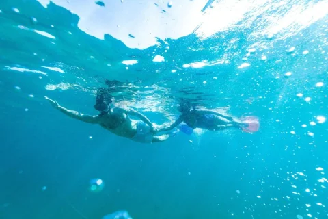 Sydney Private Bondi Beach and Gordon's Bay Snorkel Tour in Sydney