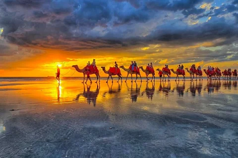 1 Hour Broome Sunset Camel Tour on Cable Beach, Broome in Broome