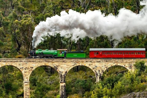 From Sydney Blue Mountains and Zig Zag Railway Day Tour in Sydney
