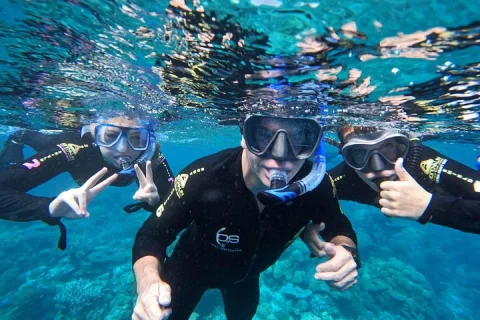 Fly & Snorkelling Adventures in Cairns