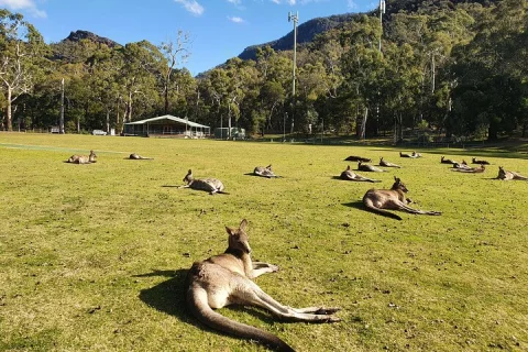 Nature Wildlife Grampians Hiking Day Tour in Melbourne