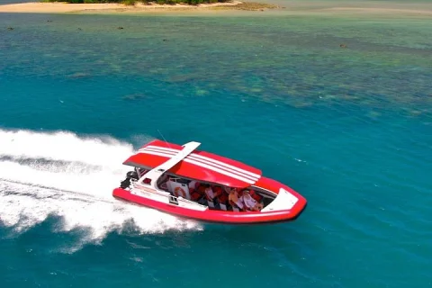 Low Island and Lagoon Snorkeling with Beach Access in Port Douglas