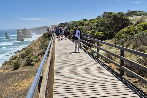 Great Ocean scenic Drive | 12 apostles Full Day Tour all fees inc in Melbourne