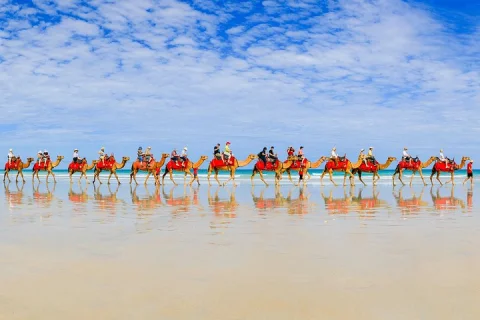 40 minute Magical Morning Camel Tour on Cable Beach, Broome in Broome