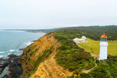 Mornington Coastal Sightseeing Tour from Melbourne in Melbourne