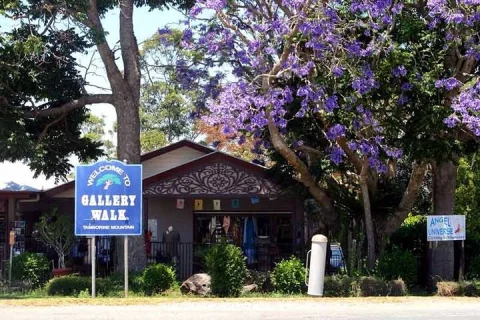 Brisbane: Hop on Hop off Wine tasting tour to Tamborine Mountain in Brisbane