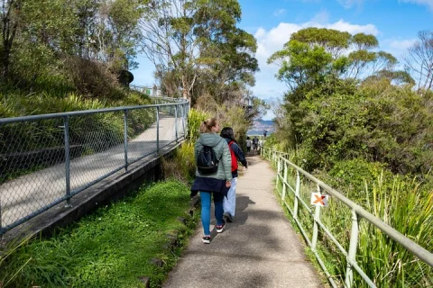 Blue Mountains Day Tour from Sydney in Sydney