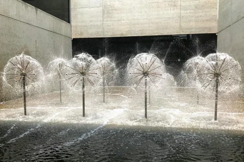 Discover Brisbane Cultural in Brisbane