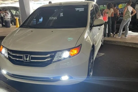 Private Transfer From Cairns Cruise Port to Cairns City Hotels in Cairns