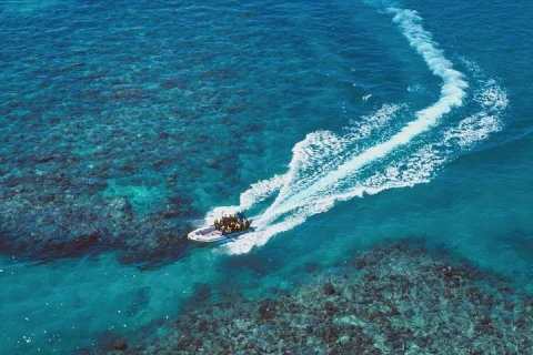 Ocean Freedom: Great Barrier Reef Stylish Snorkel, Dive Reef Tour in Cairns