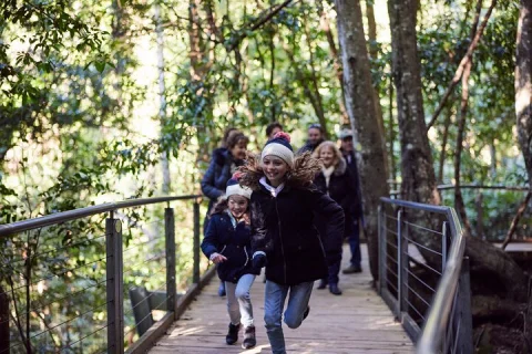 Blue Mountains Half Day Experience with Scenic World and Lookouts in Sydney