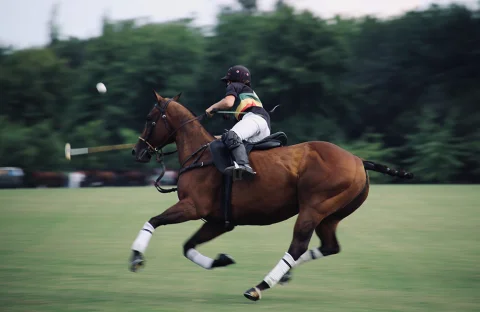 King of the Punt at Hallidays Sport Club