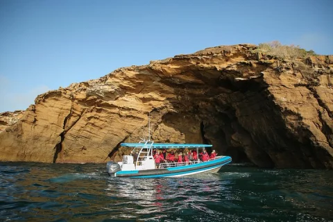 Hunter Coastal Adventure Tour by Boat from Newcastle in Newcastle & Maitland