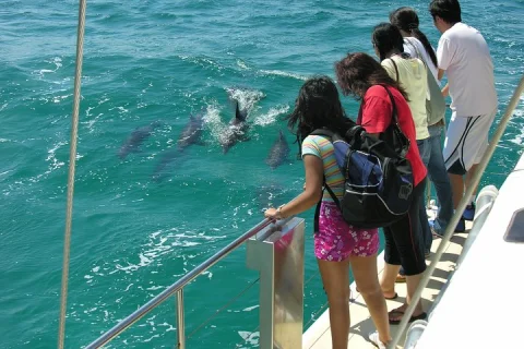 Dolphin Watch + Sailing Port Stephens in Nelson Bay