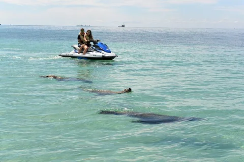 Perth Jet Ski Tour in Rockingham