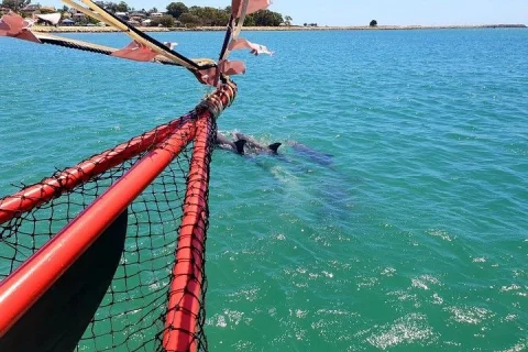 The Pirate Cruise in Mandurah in Mandurah