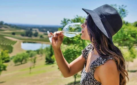 From Sydney: Hunter Valley Wine & Dine Tour in Chippendale