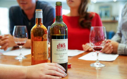 Tulloch Wine Tasting Tour in Hunter Valley in Singleton