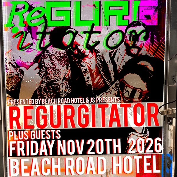 Regurgitator Live at Beach Road, Bondi at Beach Road Hotel