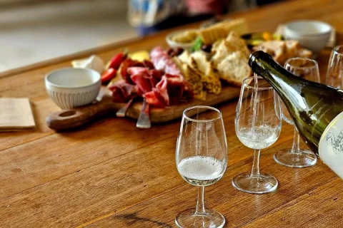 Phillip Island Small Group Penguins & Wine Tour from Melbourne in Melbourne