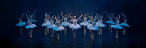 Swan Lake at State Theatre, Sydney