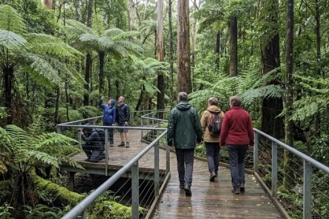 Blue Mountains Mercedes Sprinter Tour Steam Train and 3 Sisters in Sydney