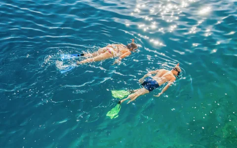 From Port Douglas: Luxury Sailing Cruise to Mackay Coral Reef With Glass Boat, Snorkel, Lunch & Transfers in Port Douglas