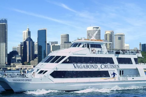 Sydney Harbour Dinner Cruise Latin Fiesta in Sydney