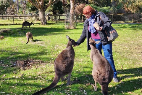 Private Cleland Wildlife and Hahndorf All Inclusive Shore Tour in Adelaide
