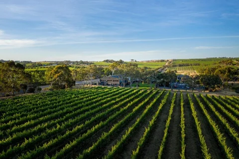 Private McLaren Vale Wine and Brew Tour with Lunch and Tastings in Adelaide
