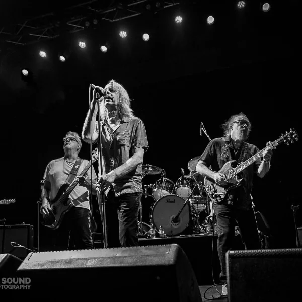 The Saints ’73 - ’78 + The New Christs at Towradgi Beach Hotel