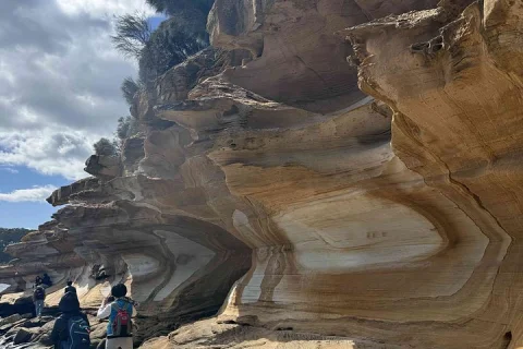 6 Day Taste of Tasmania Hiking and Wildlife Adventure in Hobart
