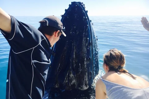 Remote K'gari (Fraser Island) & Whale Experience in Hervey Bay