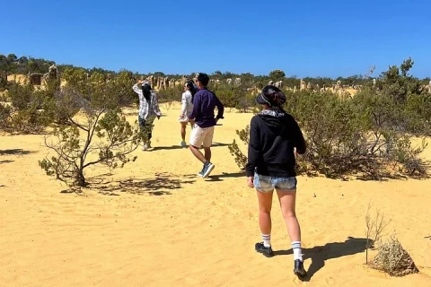 4x4 Pinnacles Desert & Turquoise Coast Small Group Experience in Perth