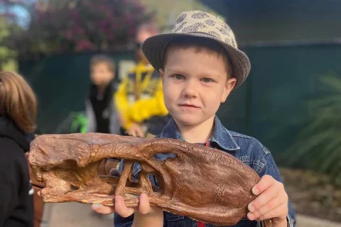 DINOSAUR and FOSSIL ZOO TOUR Rockhampton in Rockhampton
